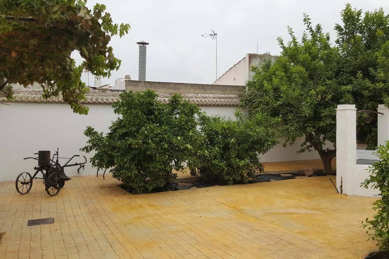 Gran Casa Rural Con Patio En Encinarejo De Cordoba エクステリア 写真