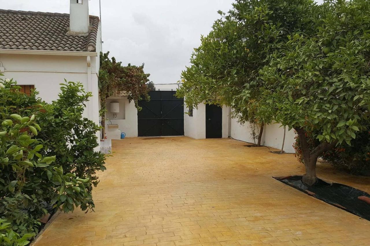 Gran Casa Rural Con Patio En Encinarejo De Cordoba エクステリア 写真