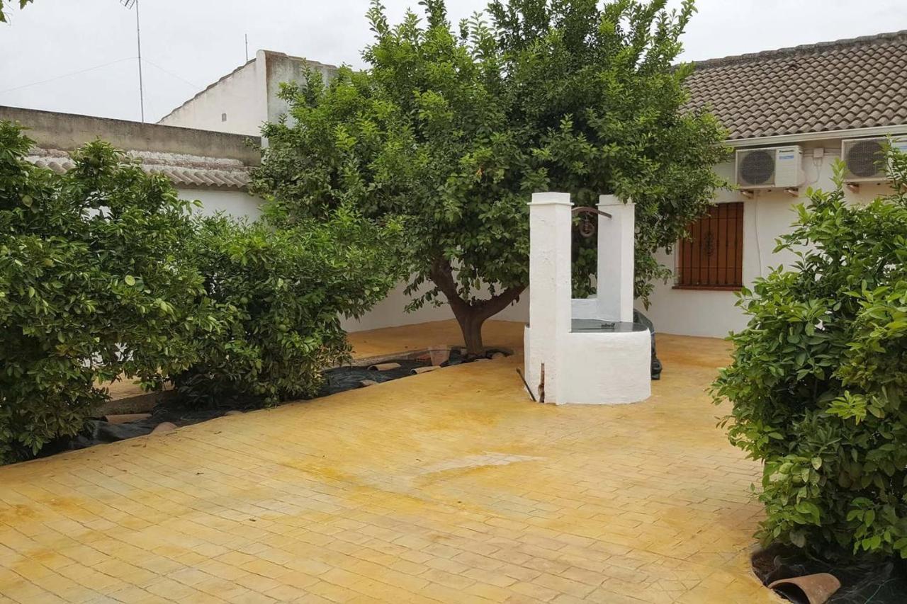Gran Casa Rural Con Patio En Encinarejo De Cordoba エクステリア 写真