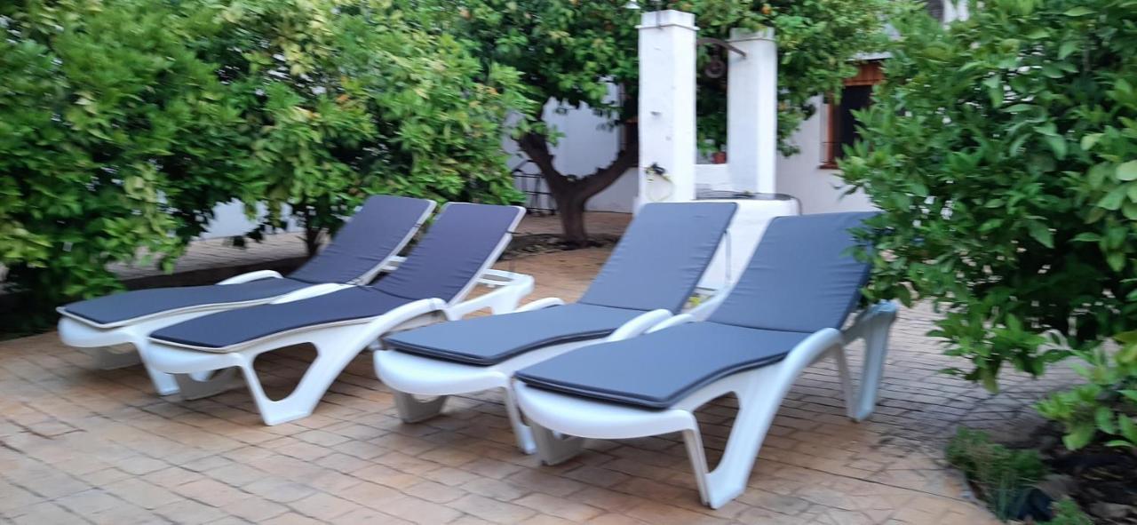 Gran Casa Rural Con Patio En Encinarejo De Cordoba エクステリア 写真